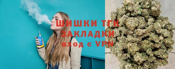 прущая мука Пересвет