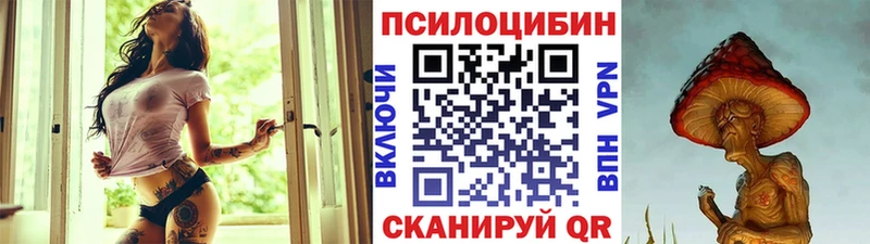 ссылка на мегу зеркало  Бирюсинск  Псилоцибиновые грибы Cubensis  купить наркотик 
